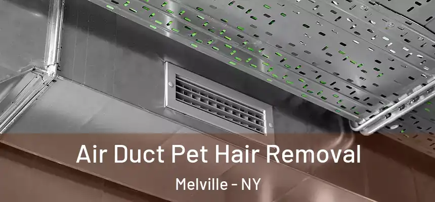  Air Duct Pet Hair Removal Melville - NY