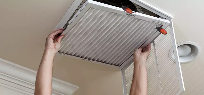 Preventive Cockroach-Proofing for Ducts in Melville