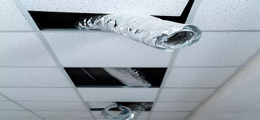 Affordable HVAC Sanitizing After Pest Removal in Melville