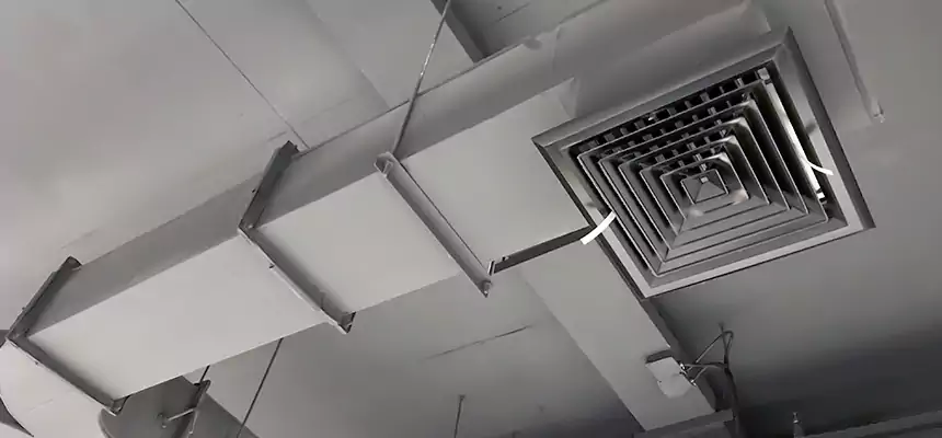 Restorative Allergy Relief Vent Cleaning – Coil, Blower & Housing Detail in Melville