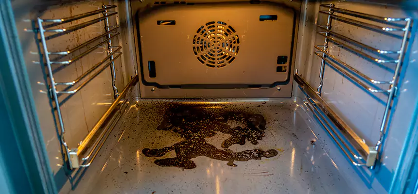 Our Dryer Vent Mold Cleaning Services in Melville, NY