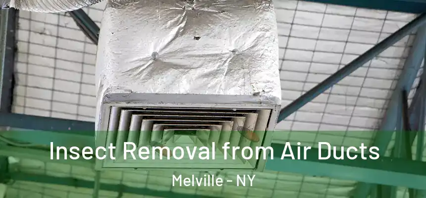  Insect Removal from Air Ducts Melville - NY