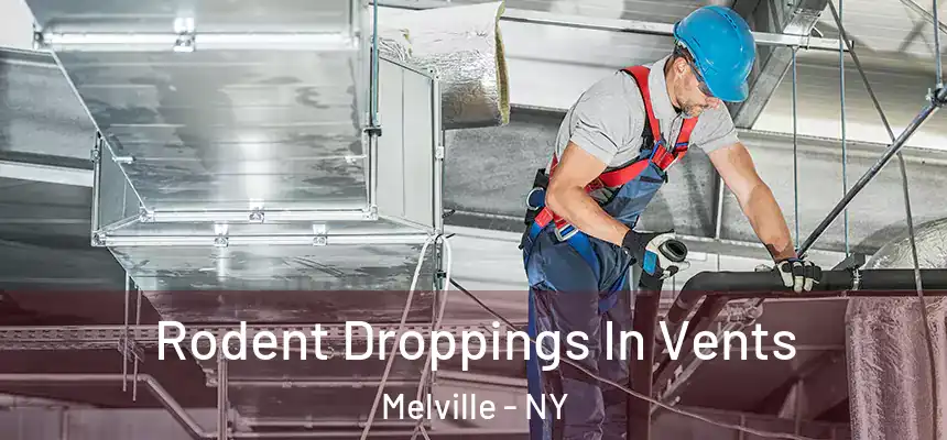  Rodent Droppings In Vents Melville - NY