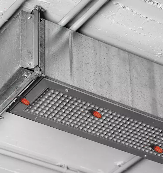 About Air Duct Cockroach Removal in Melville, NY