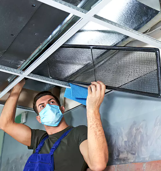 Professional Air Duct Pollen Cleaning in Melville, NY