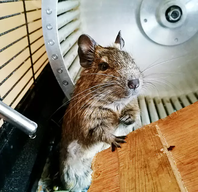 Why Homeowners & Businesses Trust Us Melville, NY?